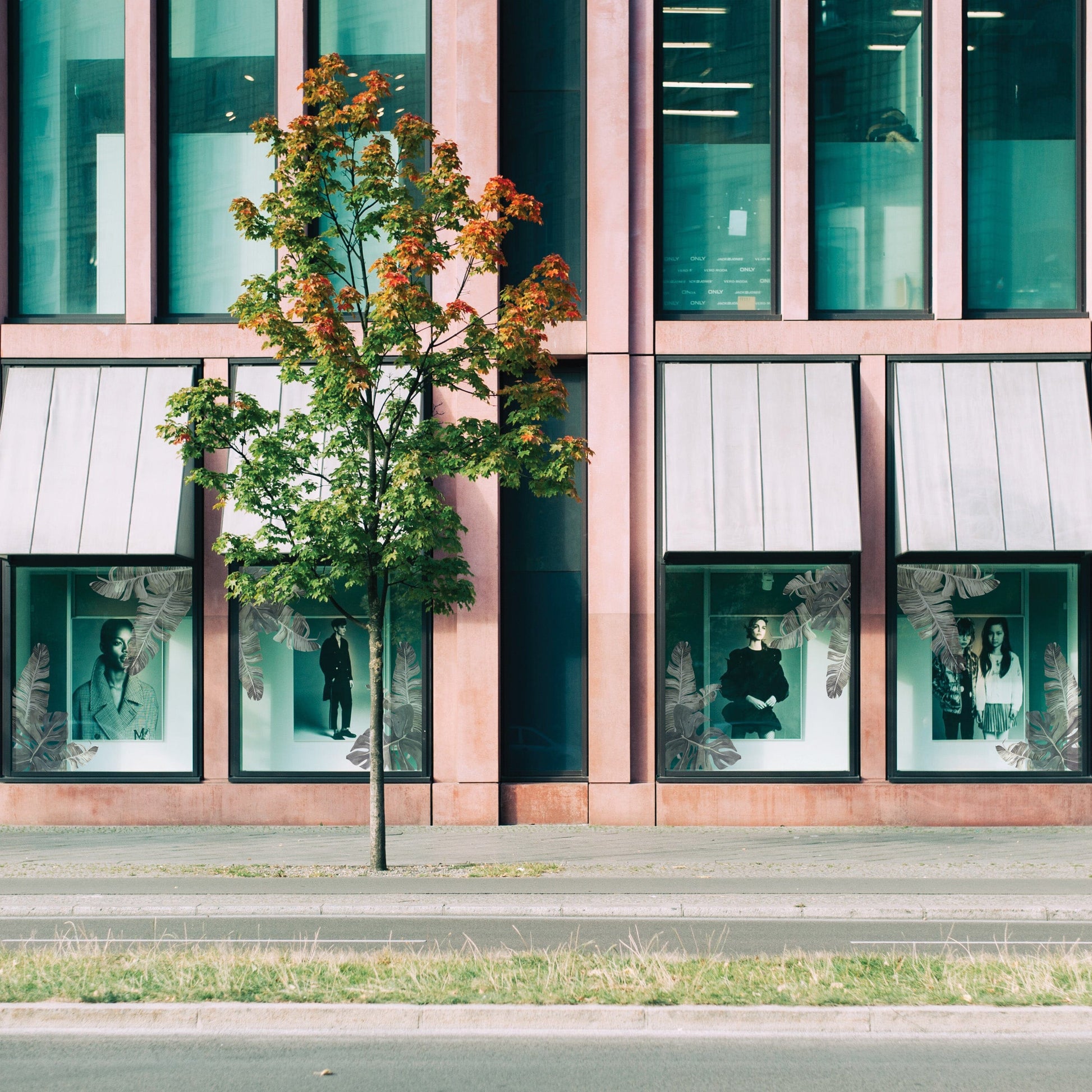 Tropic Leaves Window Decals Decals Urbanwalls Static Cling Large Window