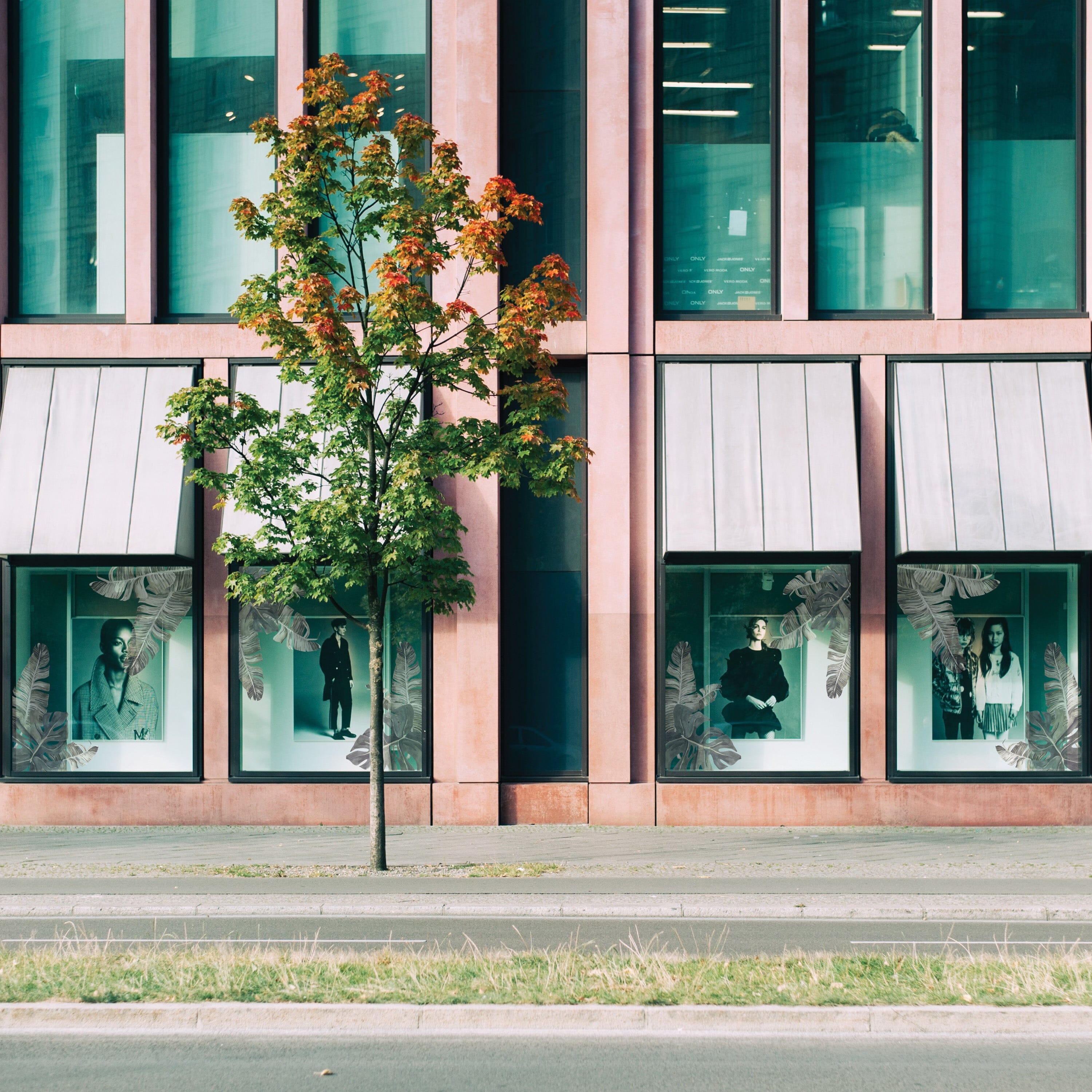 Tropic Leaves Window Decals Decals Urbanwalls Static Cling Large Window