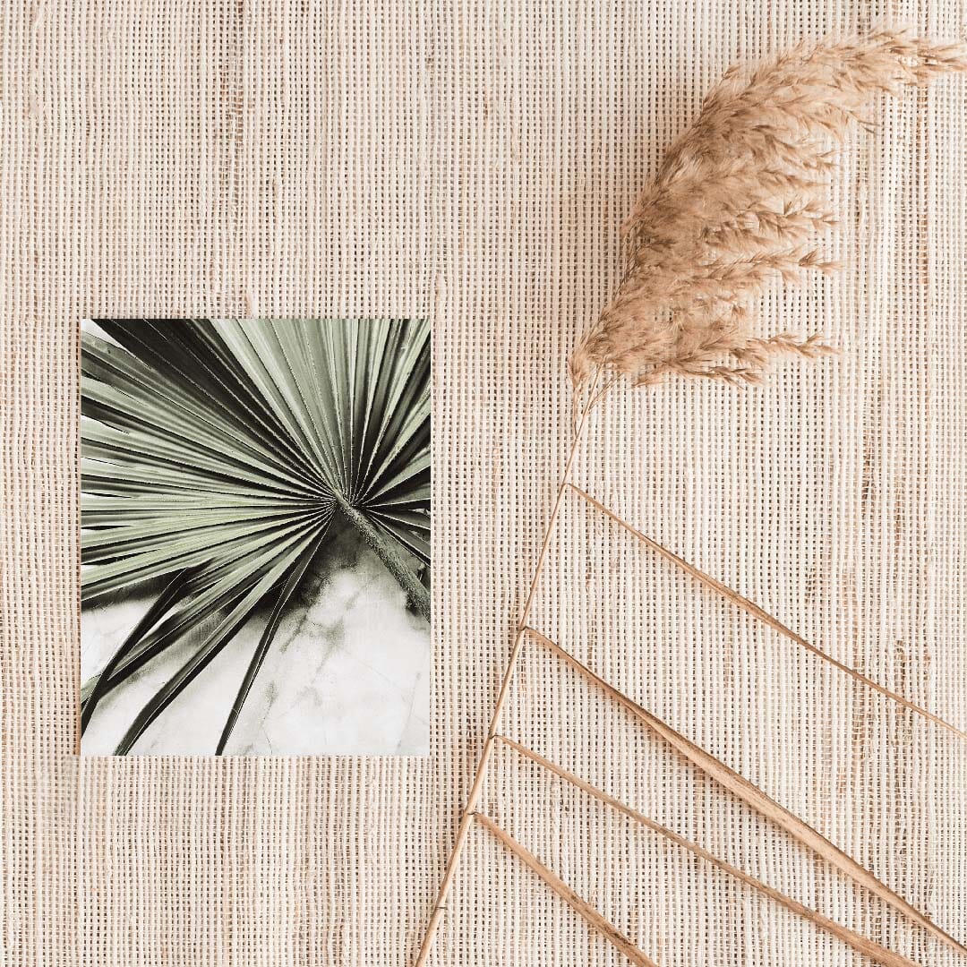Tropical Fan Leaf Art Print Prints Urbanwalls