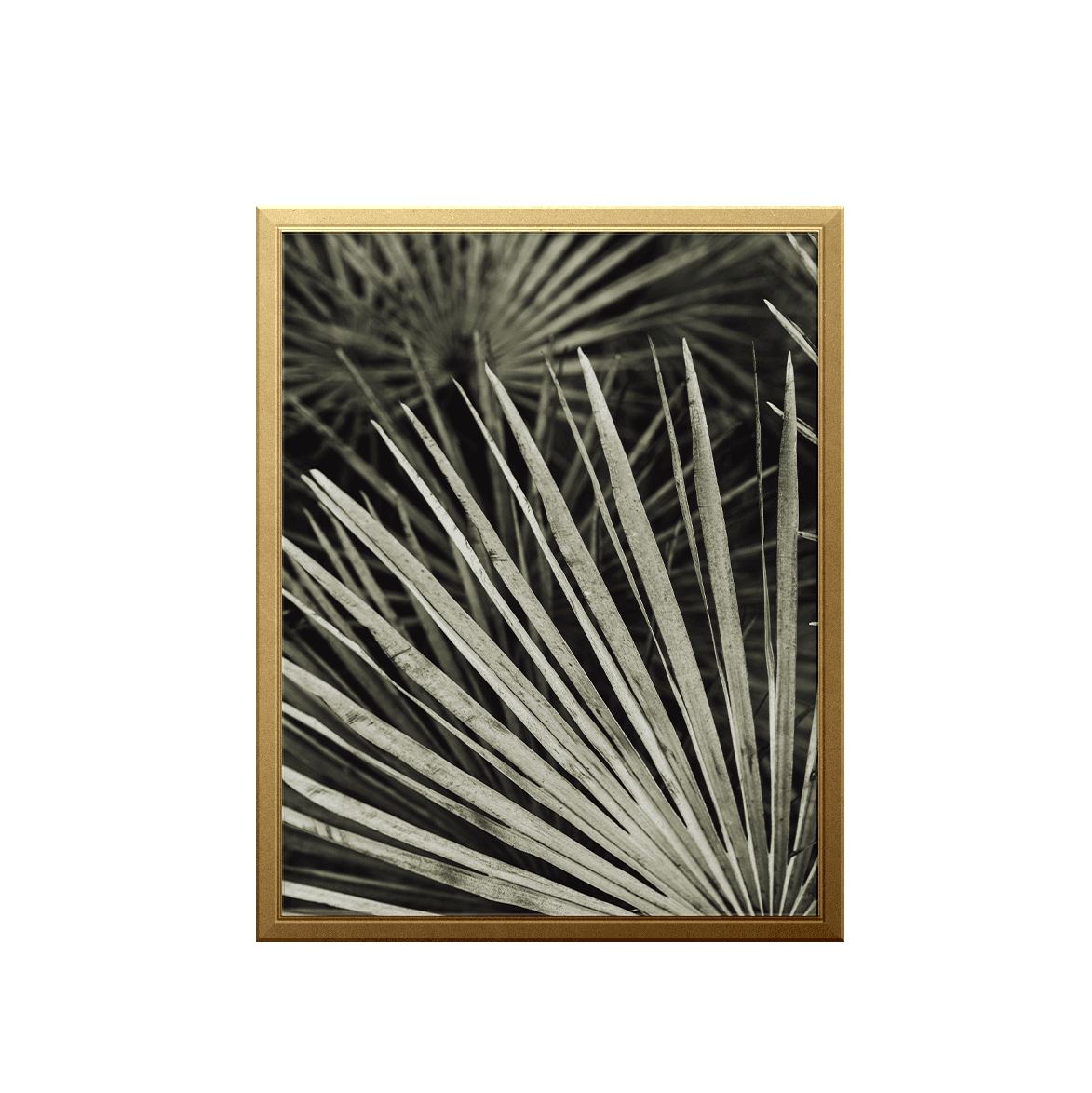 Tropical Leaf Art Print Prints Urbanwalls