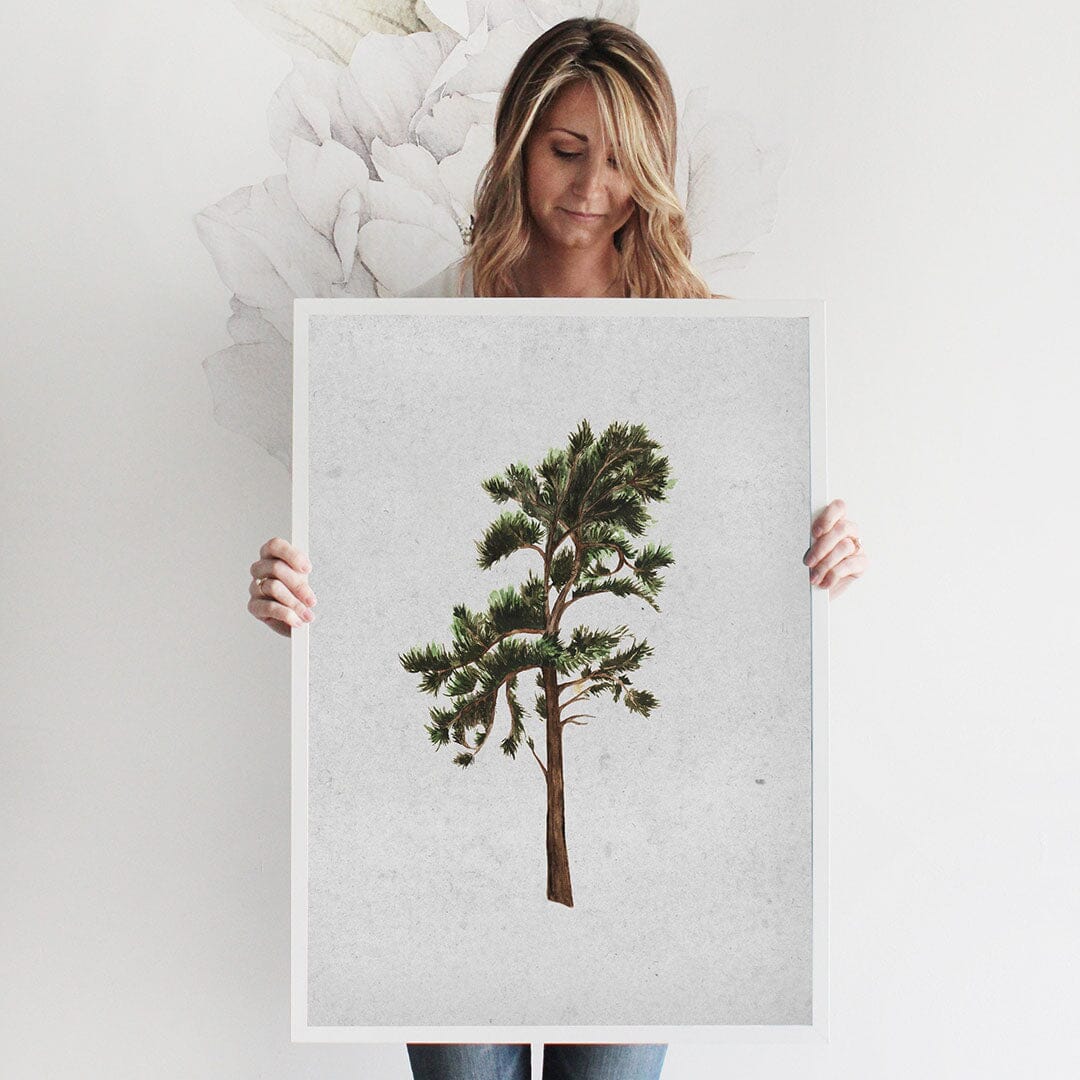 West Coast Pine Art Print Prints Urbanwalls