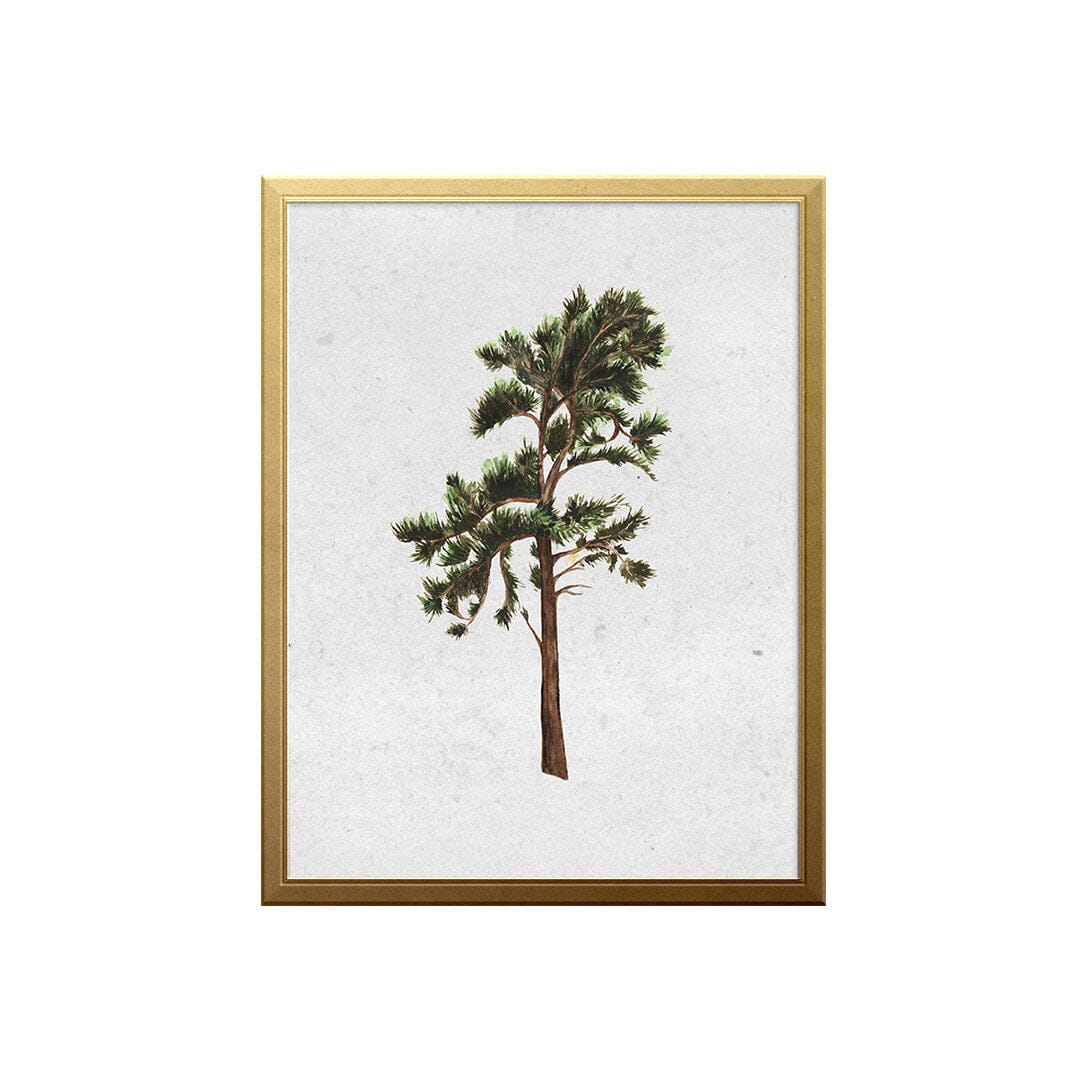 West Coast Pine Art Print Prints Urbanwalls