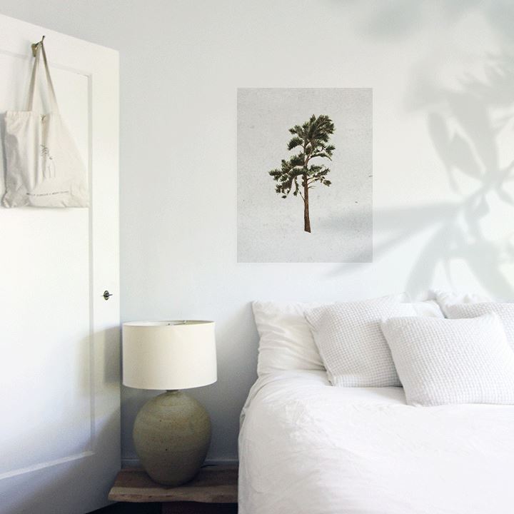 West Coast Pine Art Print Prints Urbanwalls Adhesive Canvas 8" x 10"