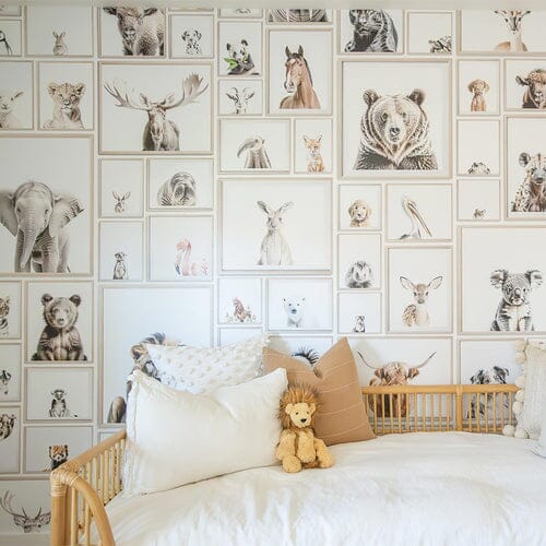 Bring the Zoo Home: Introducing Our Vibrant Animal Wallpaper Collection