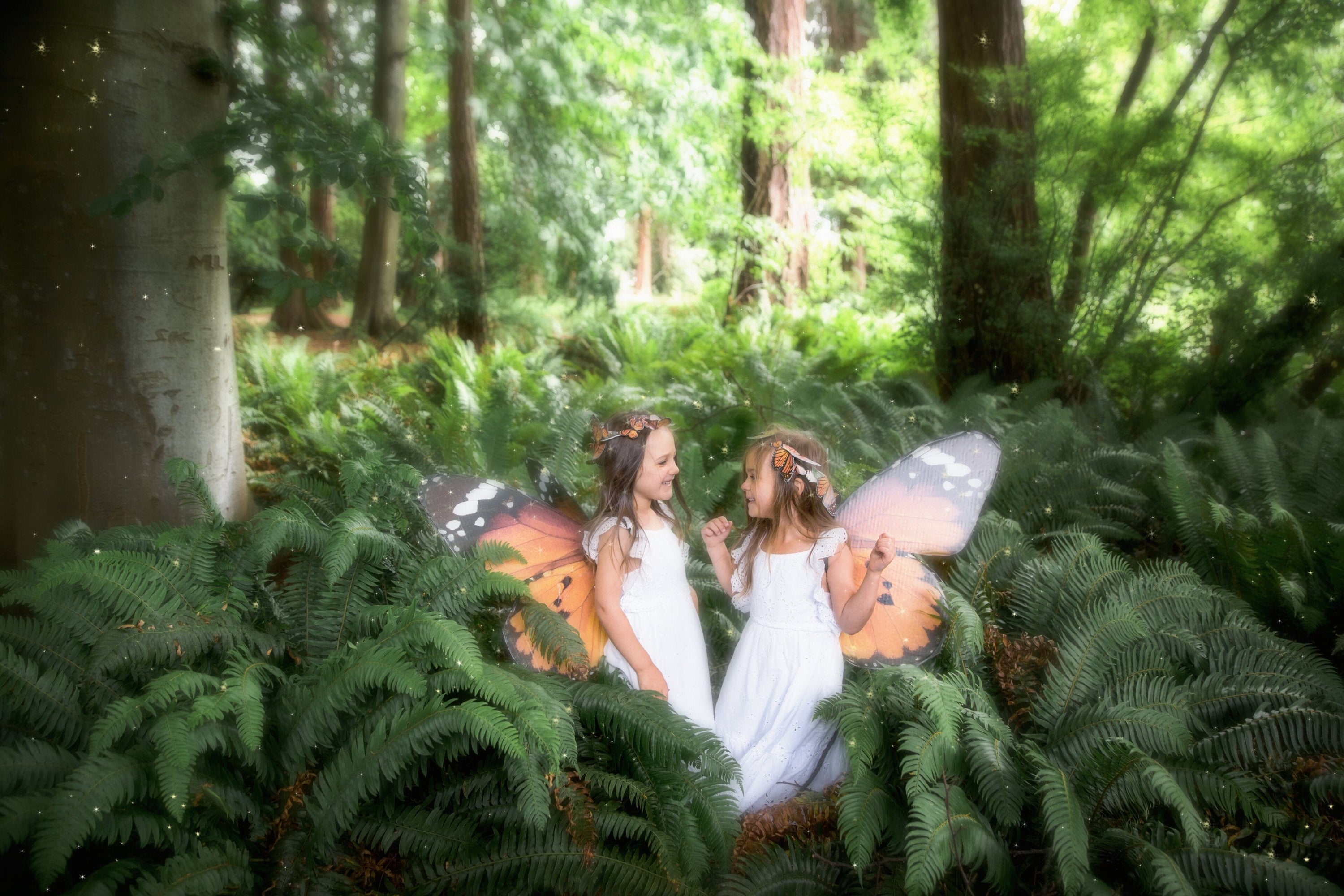 Enchanted Forest Photoshoot – Urbanwalls Canada