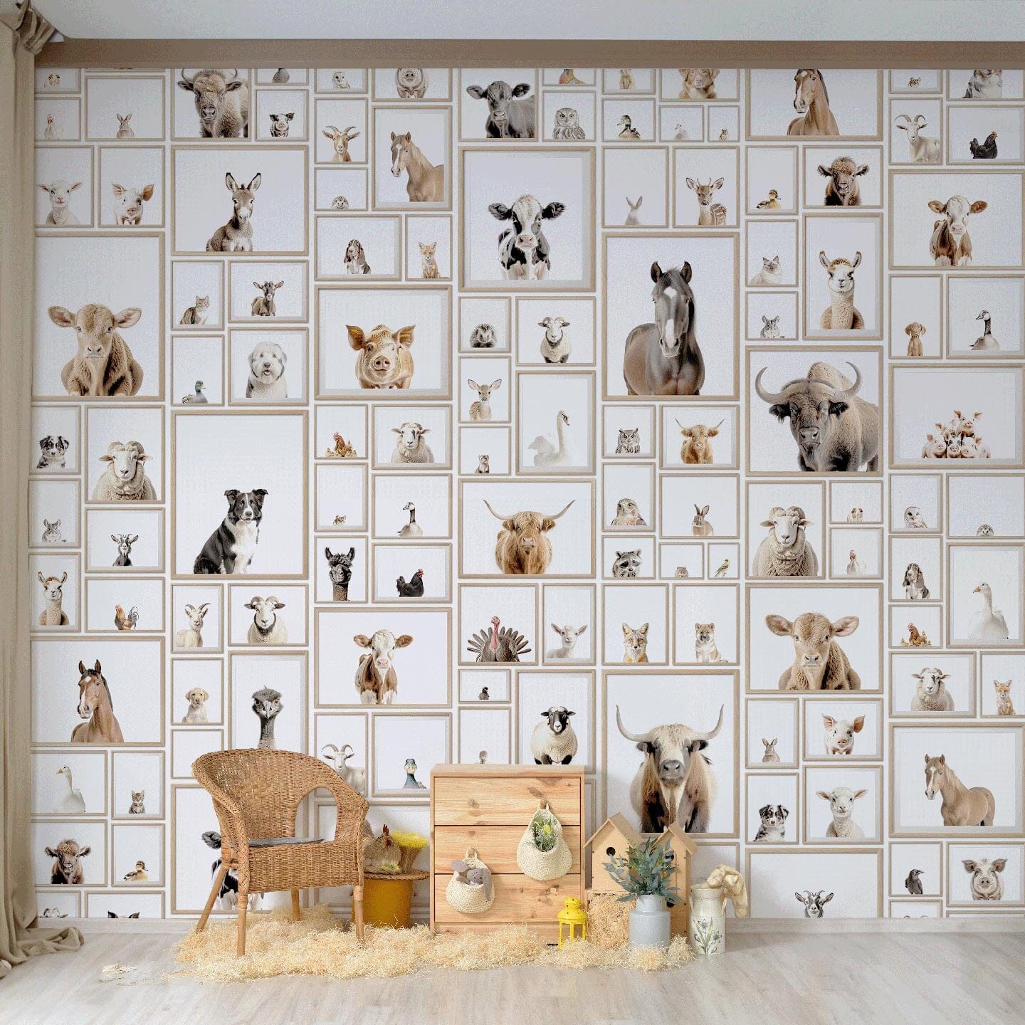 Farm Animal Wallpaper Murals Urbanwalls 