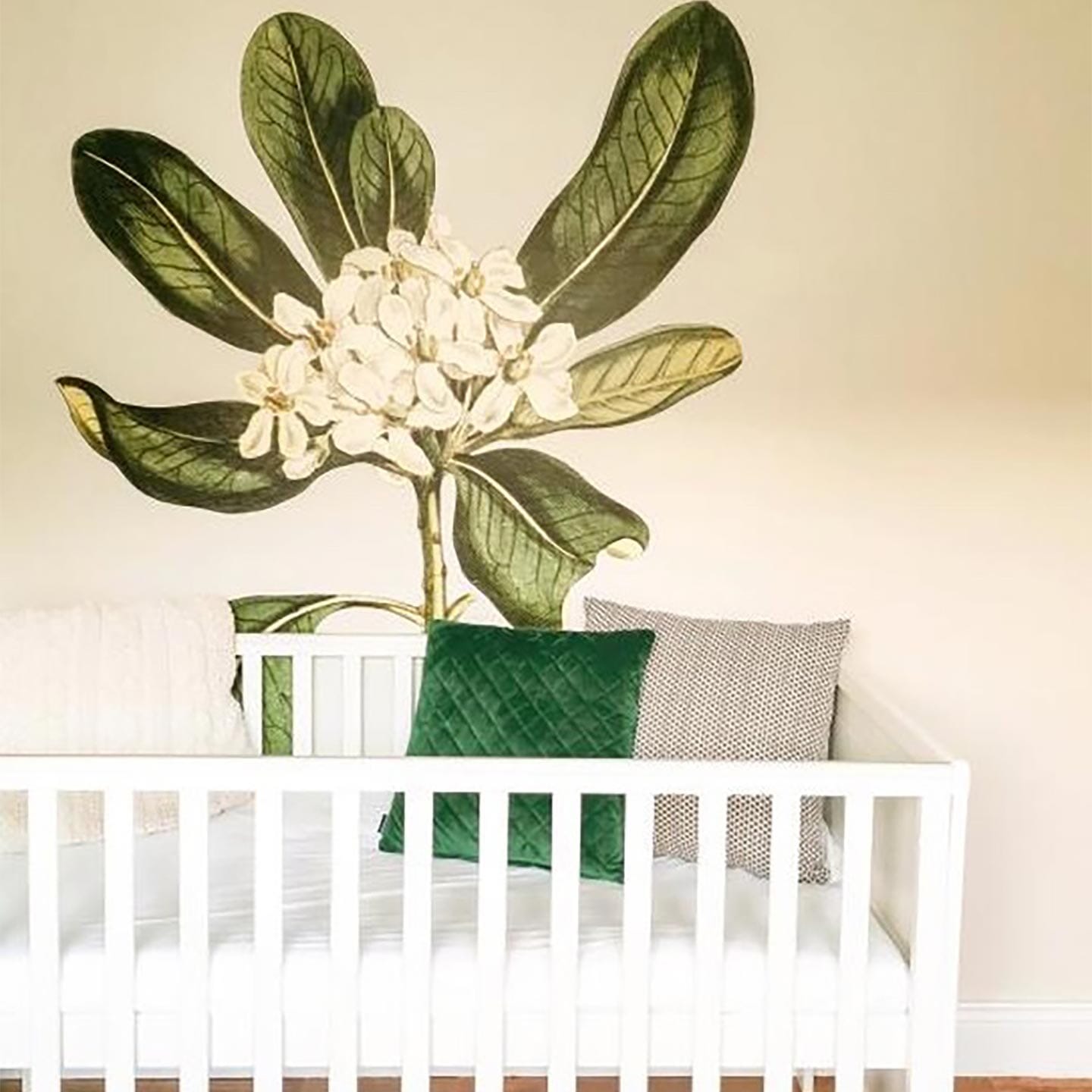 Glossy Leaved Pittosporum Wall Decal Decals Urbanwalls 