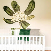 Glossy Leaved Pittosporum Wall Decal Decals Urbanwalls 