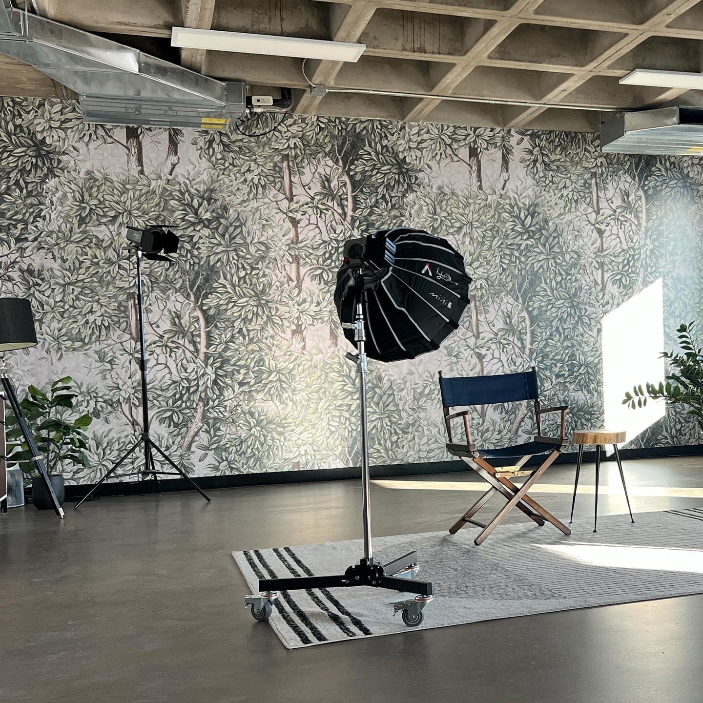 Green Forest Wall Mural Murals Urbanwalls 