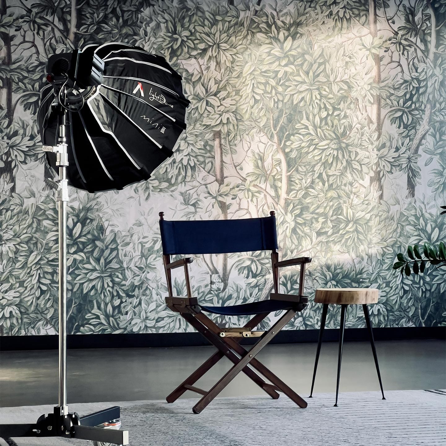 Green Forest Wall Mural Murals Urbanwalls 