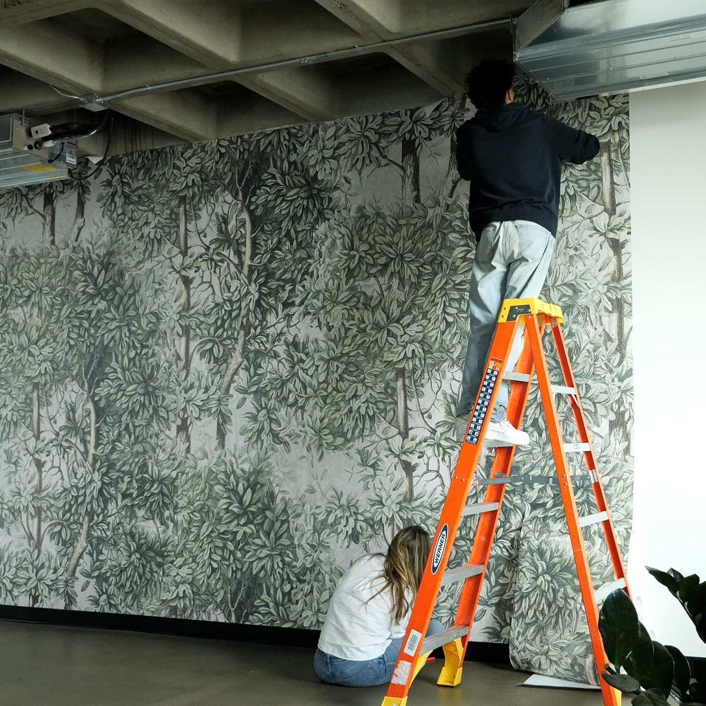 Green Forest Wall Mural Murals Urbanwalls 