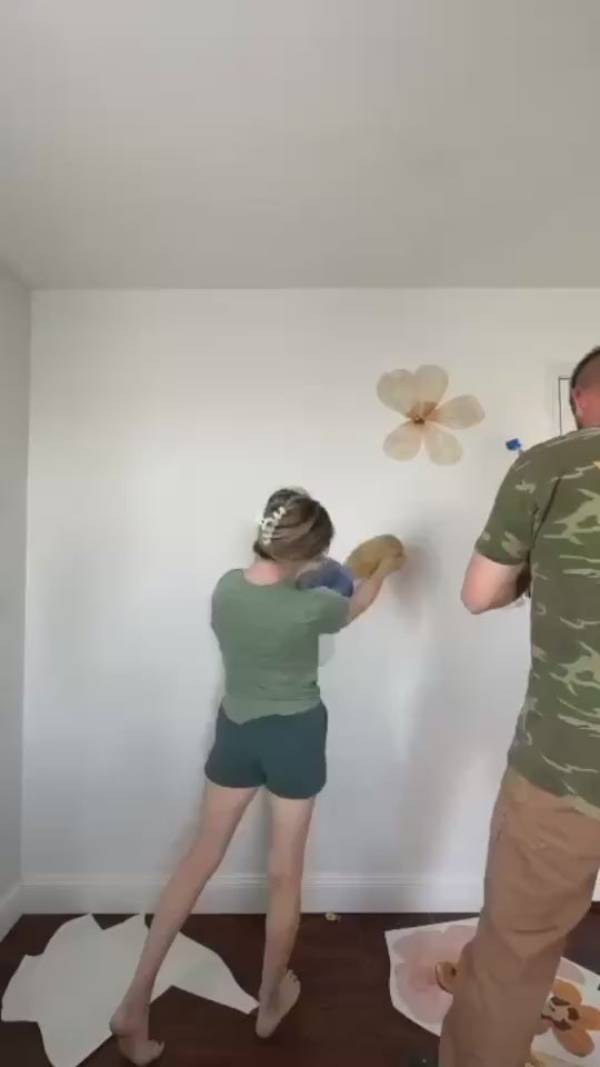 Load video: 