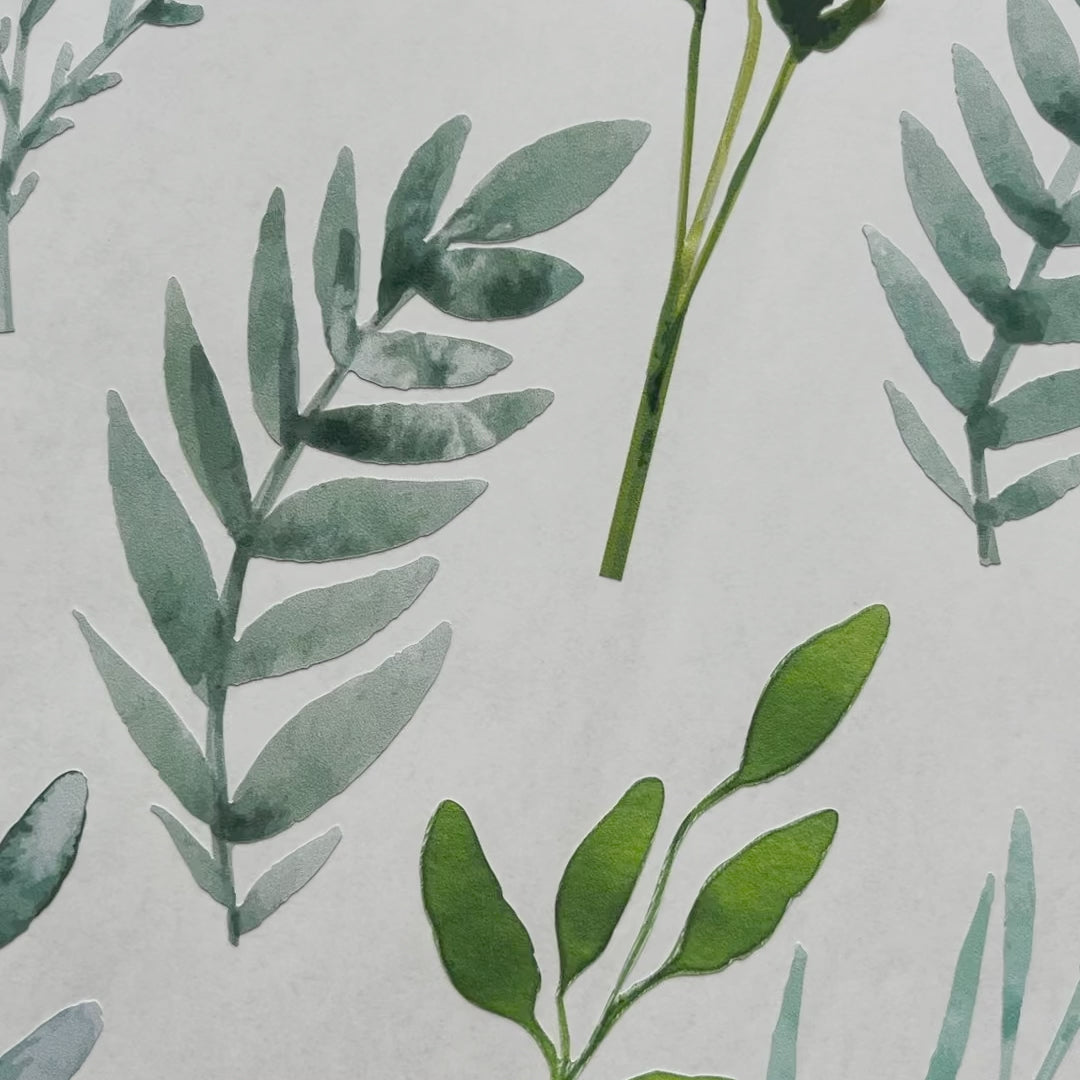 Load video: Botanical Foliage Wall Decals