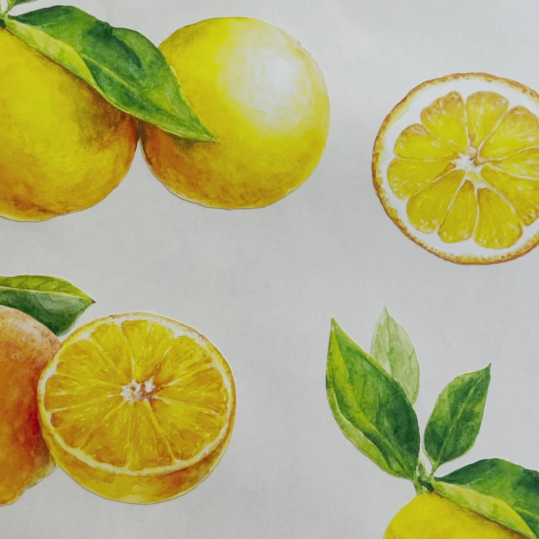 Load video: Oranges Wall Decals