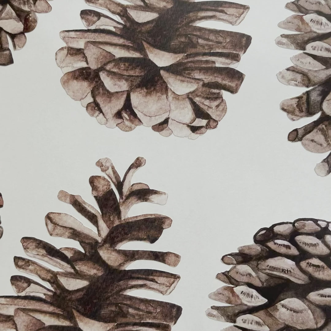 Load video: Watercolor Pinecone Wall Decals