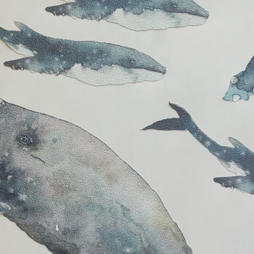 Load video: Whale Wall Decals