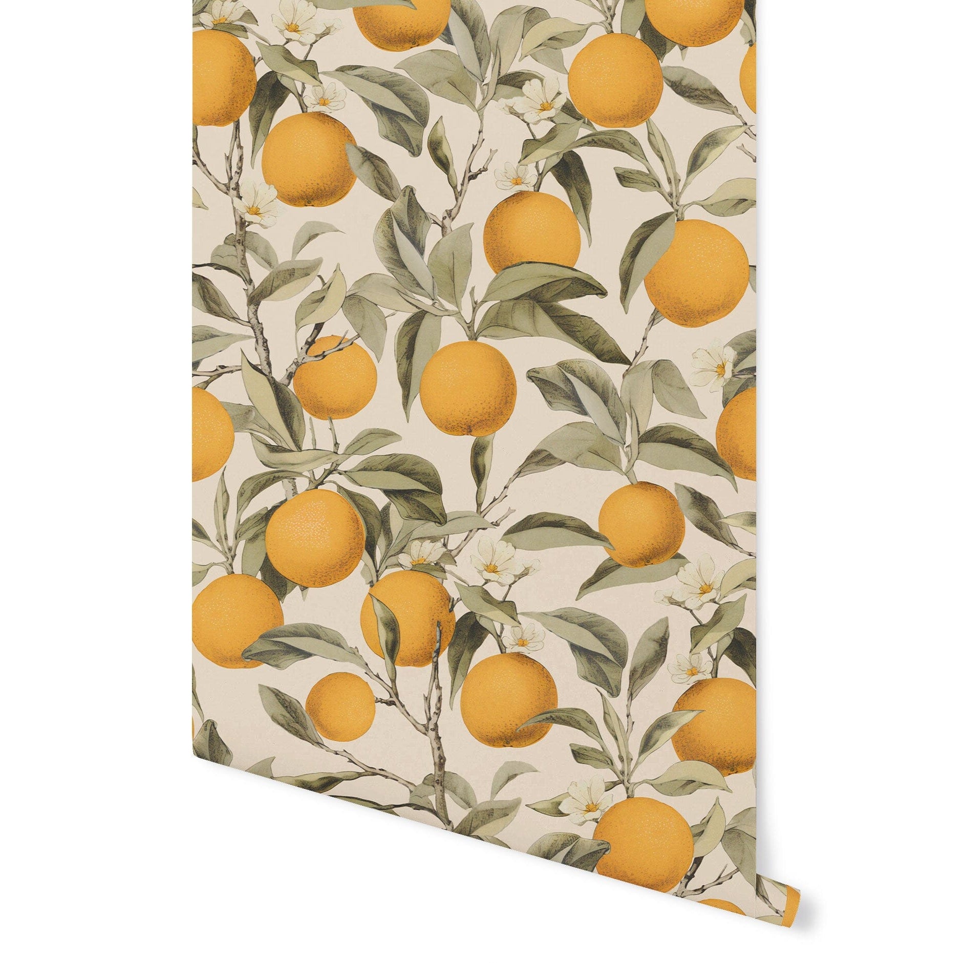 Tangerine Wallpaper Wallpaper Urbanwalls 