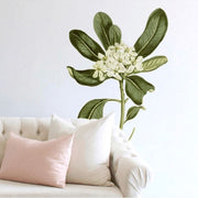 Glossy Leaved Pittosporum Wall Decal Decals Urbanwalls 