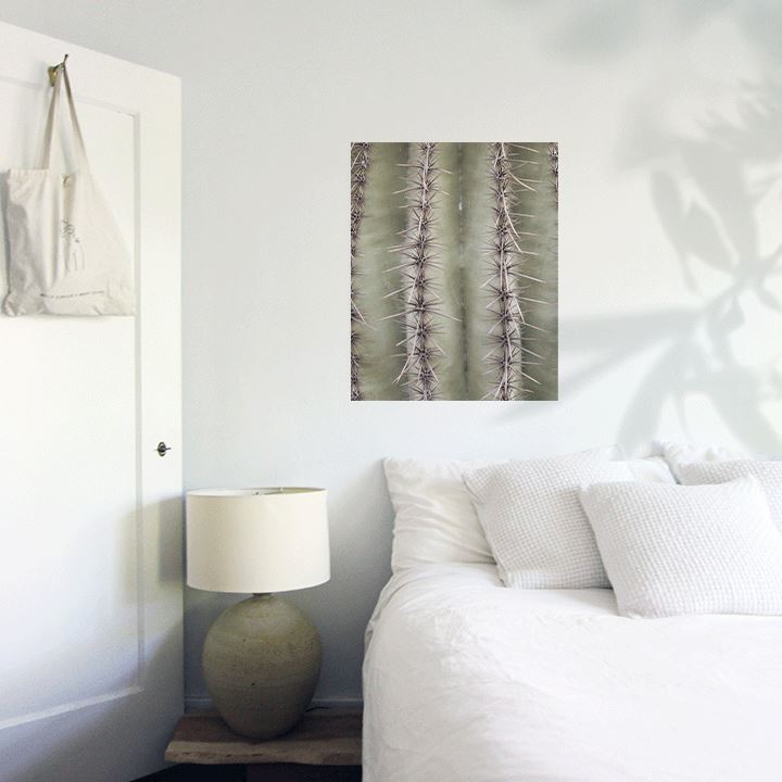 Saguaro Spines Art Print Prints Urbanwalls Adhesive Canvas 8" x 10" 