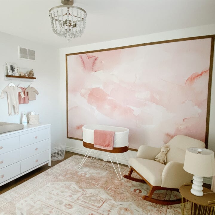 Baby girl nursery murals outlet