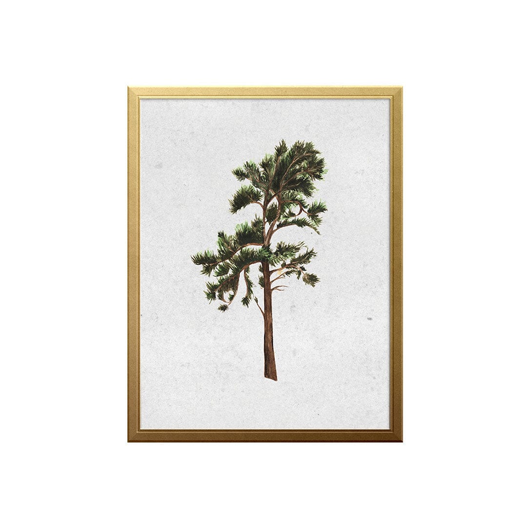 West Coast Pine Art Print Prints Urbanwalls 